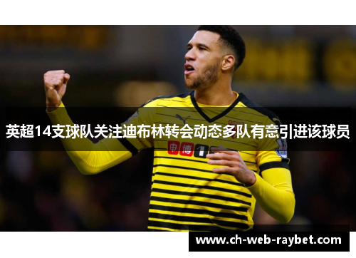 英超14支球队关注迪布林转会动态多队有意引进该球员 英超14支球队关注迪布林转会动态多队有意引进该球员