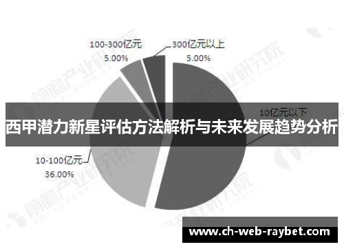西甲潜力新星评估方法解析与未来发展趋势分析 西甲潜力新星评估方法解析与未来发展趋势分析