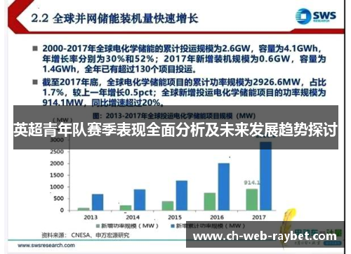 英超青年队赛季表现全面分析及未来发展趋势探讨