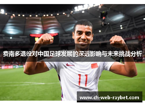 费南多退役对中国足球发展的深远影响与未来挑战分析